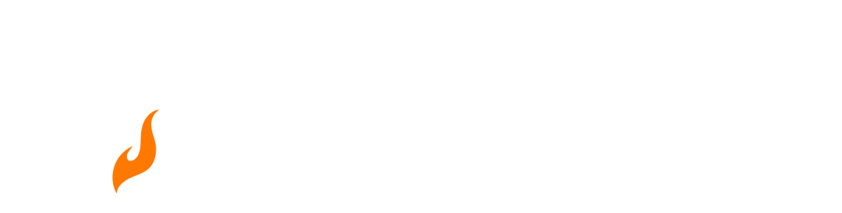 Digital Blaze Logo White